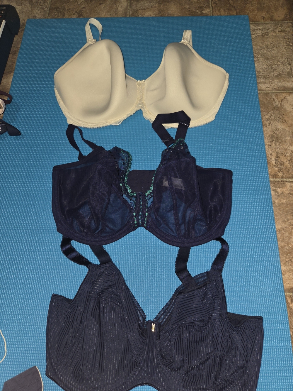 Fantasie And Elomi Cream and Navy Bra Trio